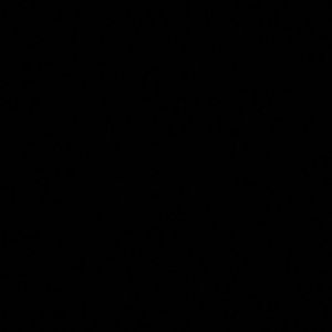 Meet your Posher, Spider